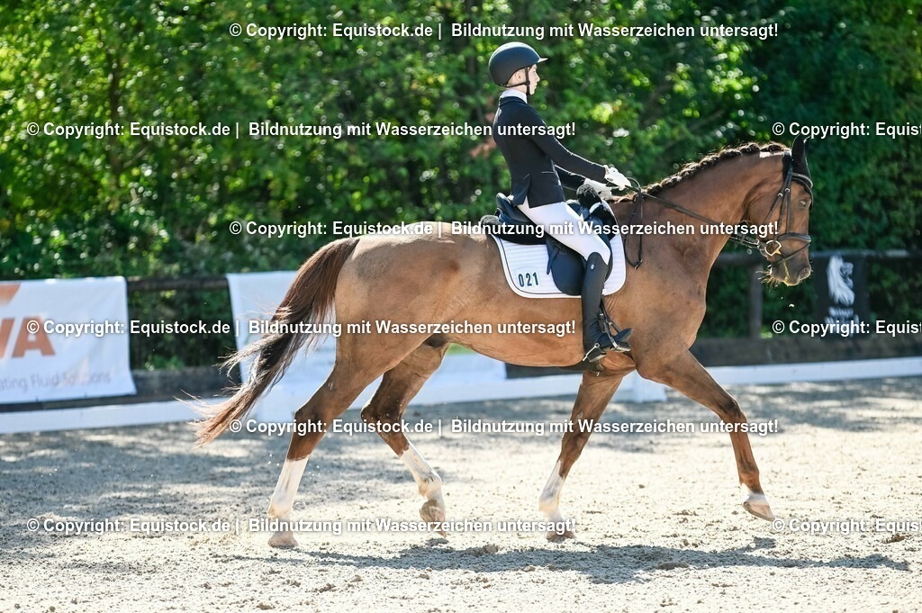 20230908_06_Dressur-L-Trense_0263 | equistock