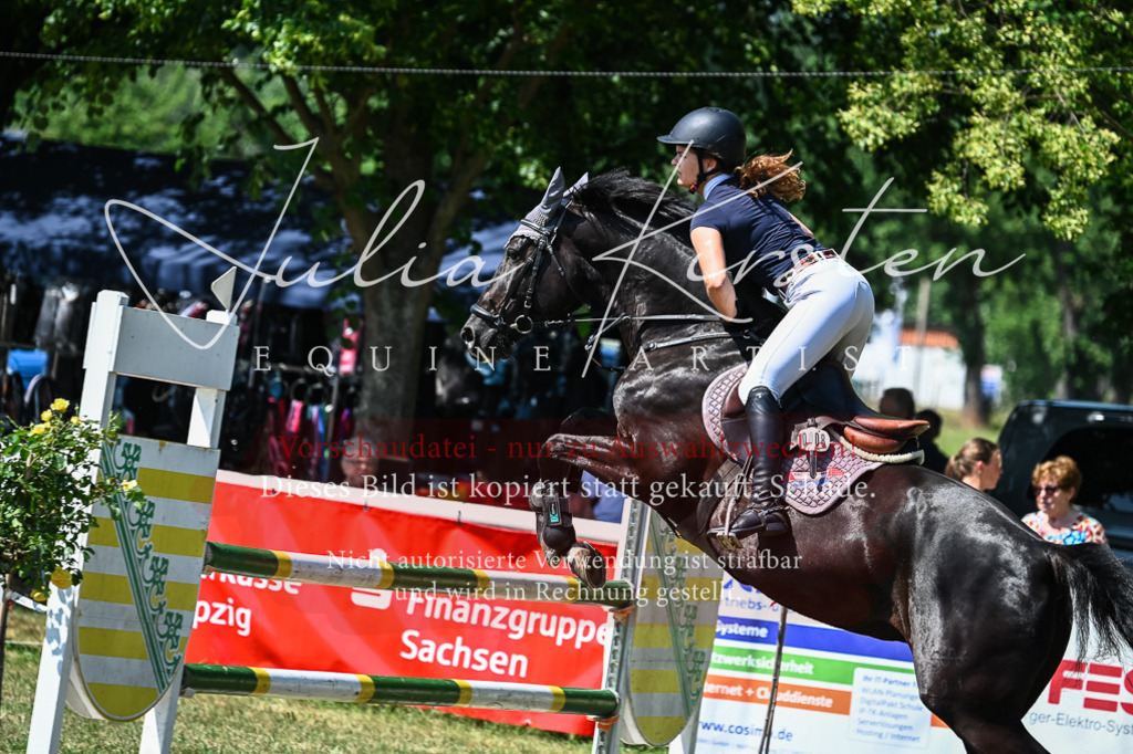 DSC_1044 | Pferde- und Turnierfotografie in Westsachsen. Pferdeportraits, Auftragszeichnungen und intuitive Kunst.