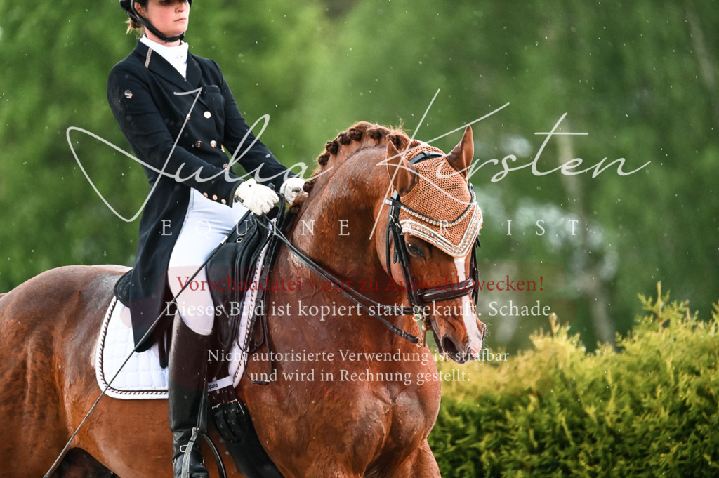 20230514_JK-Röhrsdorf-21-588 | Pferde- und Turnierfotografie in Westsachsen. Pferdeportraits, Auftragszeichnungen und intuitive Kunst.