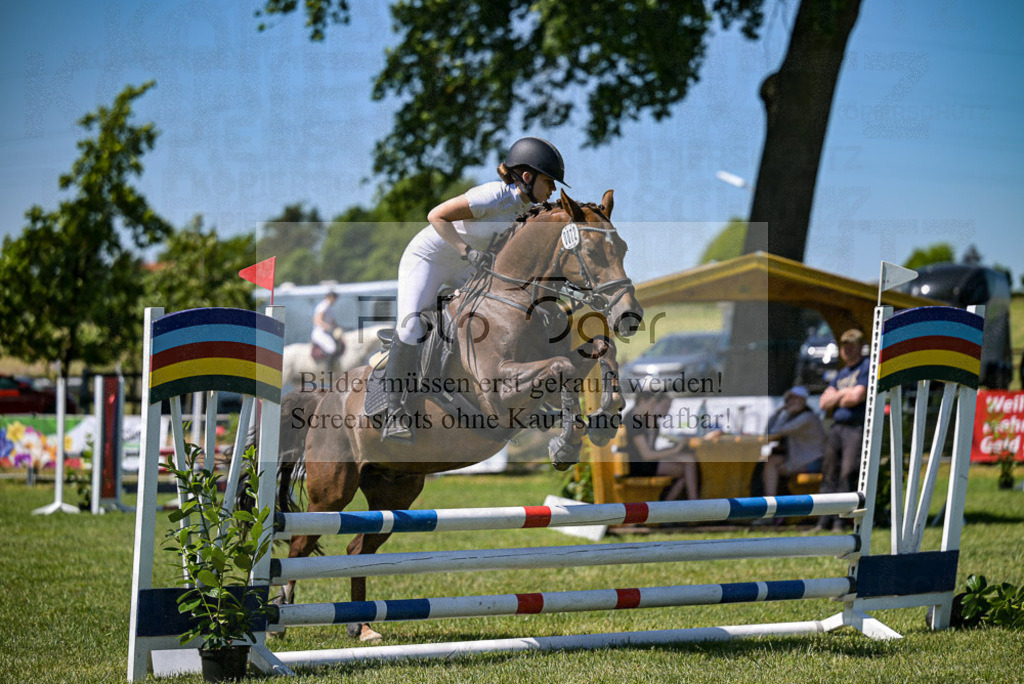 Reitturnier Voxtrup | Entdecke hochwertige Reitturnierfotos von Foto Oger. Professionell, emotional und authentisch – jetzt Lieblingsmomente im Shop bestellen.Deutschlandweite Turnierfotografie. - Realisiert mit Pictrs.com