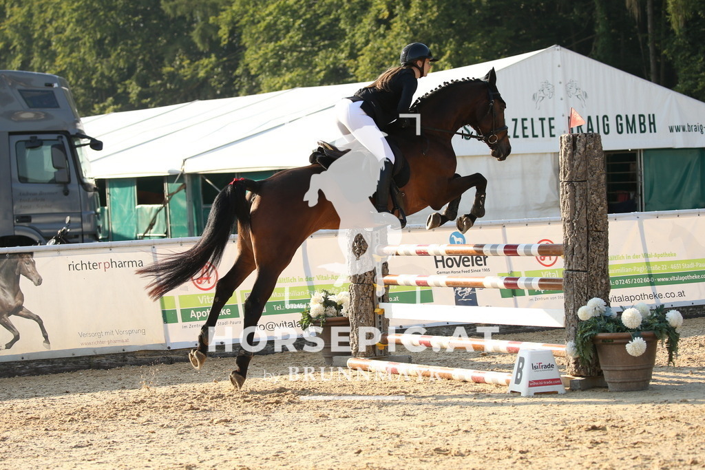 DL2Q6535 | Willkommen bei Brunnmayr - Design & Fotografie – Ihrem Spezialisten für Reitturniere und Pferdeveranstaltungen in Oberösterreich, Salzburg und Bayern! Seit über 17 Jahren sind wir leidenschaftlich dabei.