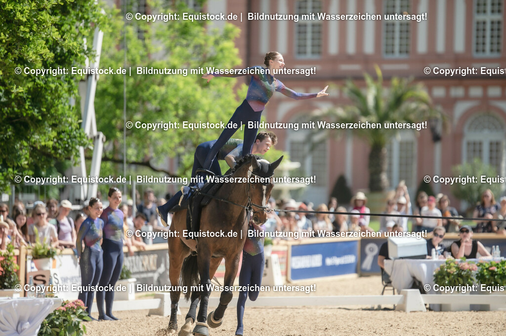 20230528_Voltigieren_NASPA_0477 | equistock