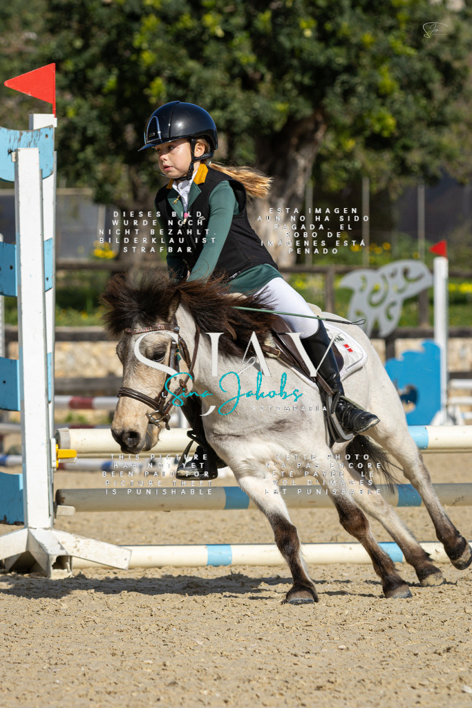 IMG_5950 | s-jay-photography - Realisiert mit Pictrs.com