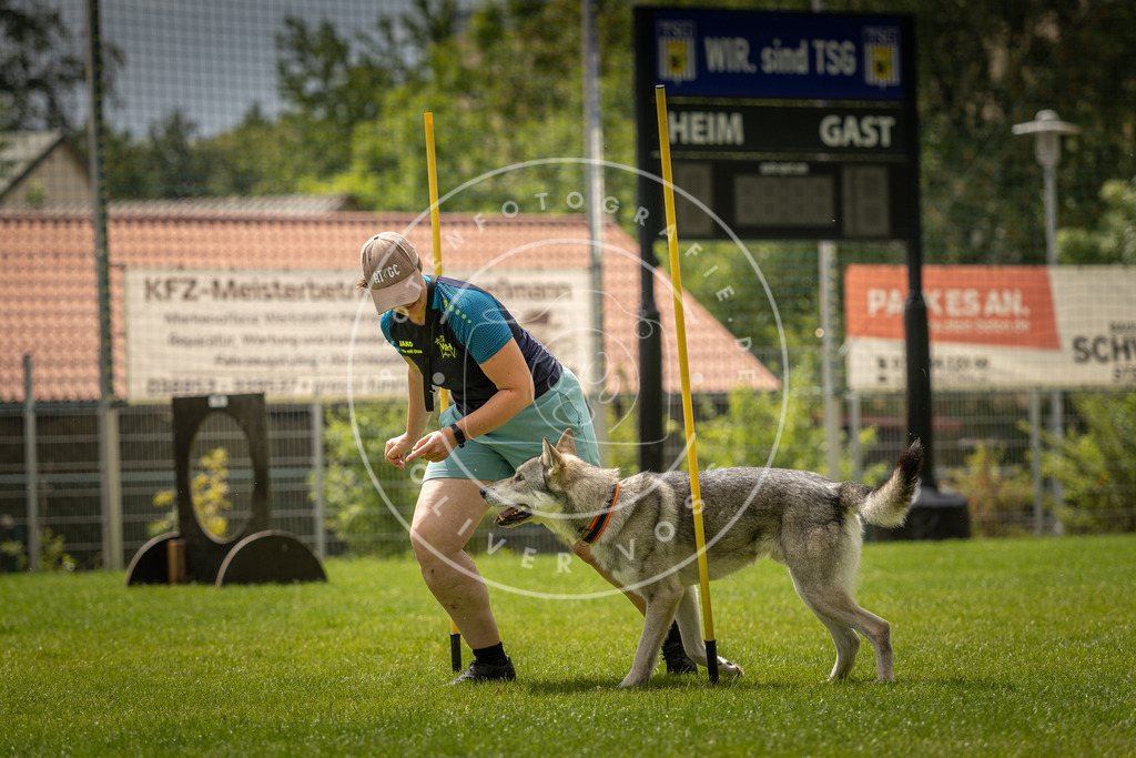 Pfotenfotografie_DV3A2453 | Hundefotografie, Tierfotograf, Pfotenfotografie, Fotoshooting Hund, Hunde Portrait, Hundesport, Hundeportraits, Heideshooting, Hunde, Sportfotograf, Hundefotograf, Turnierhundsport, THS,  - Realisiert mit Pictrs.com