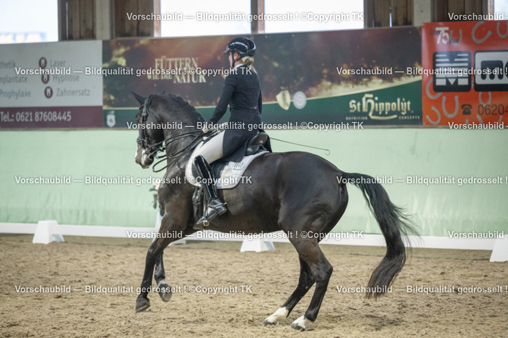 _D5A7099 | Emotionale Pferde- & People-Fotografie rund um Heidelberg, Leimen & Umgebung. Natürliche Fotos von Pferd, Mensch & Familie. Jetzt Termin sichern!