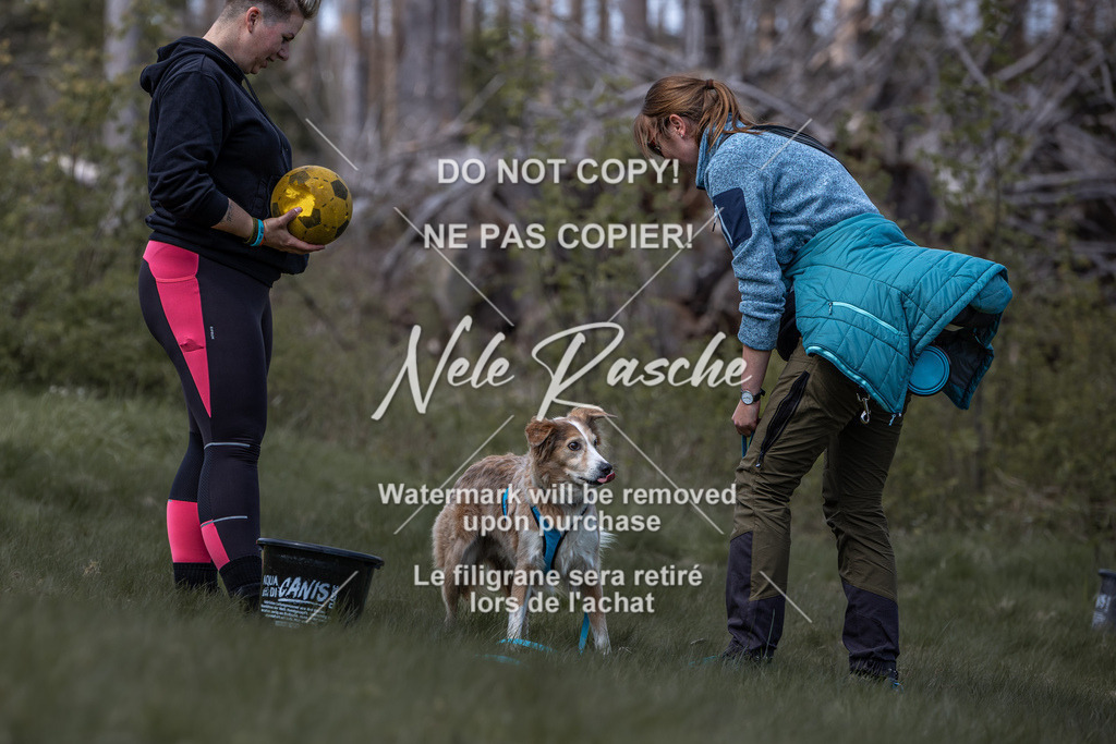 6Z1A1061 | nelerasche
