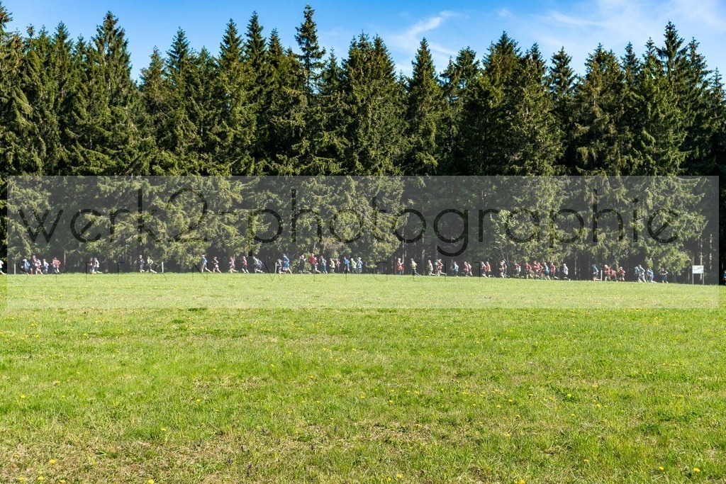 Rennsteiglauf 2019 | Marathon Neuhaus/Rwg. - Schmiedefeld am 18. Mai 2019