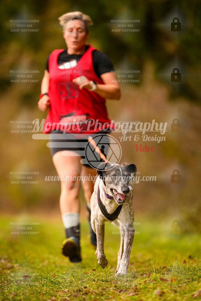 MompixPhotography_2SSTSSBW_2025_SO_Canicross-33 | PayLife
