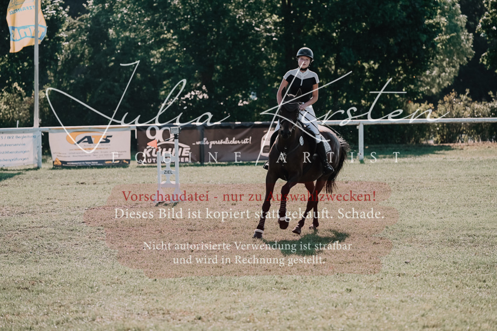 DSC_4783 | Pferde- und Turnierfotografie in Westsachsen. Pferdeportraits, Auftragszeichnungen und intuitive Kunst.