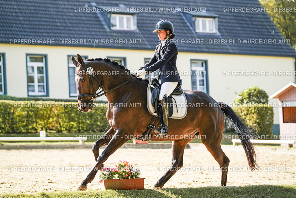 DSC06860 | Pferdegrafie