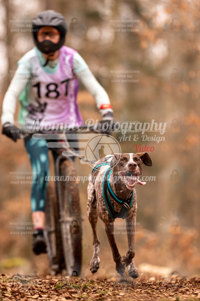 AKM_ST_2023_SAM_Scooter-63 | PayLife