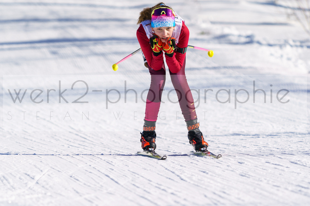 DSC Arber | Bayerischer Wald am 9. bis 12. Februar 2023
