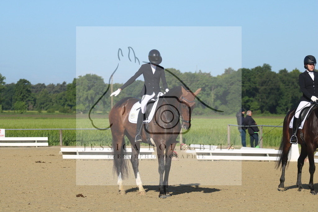 IMG_1930 | jessicahollubetz_pferdephotographie - Realisiert mit Pictrs.com