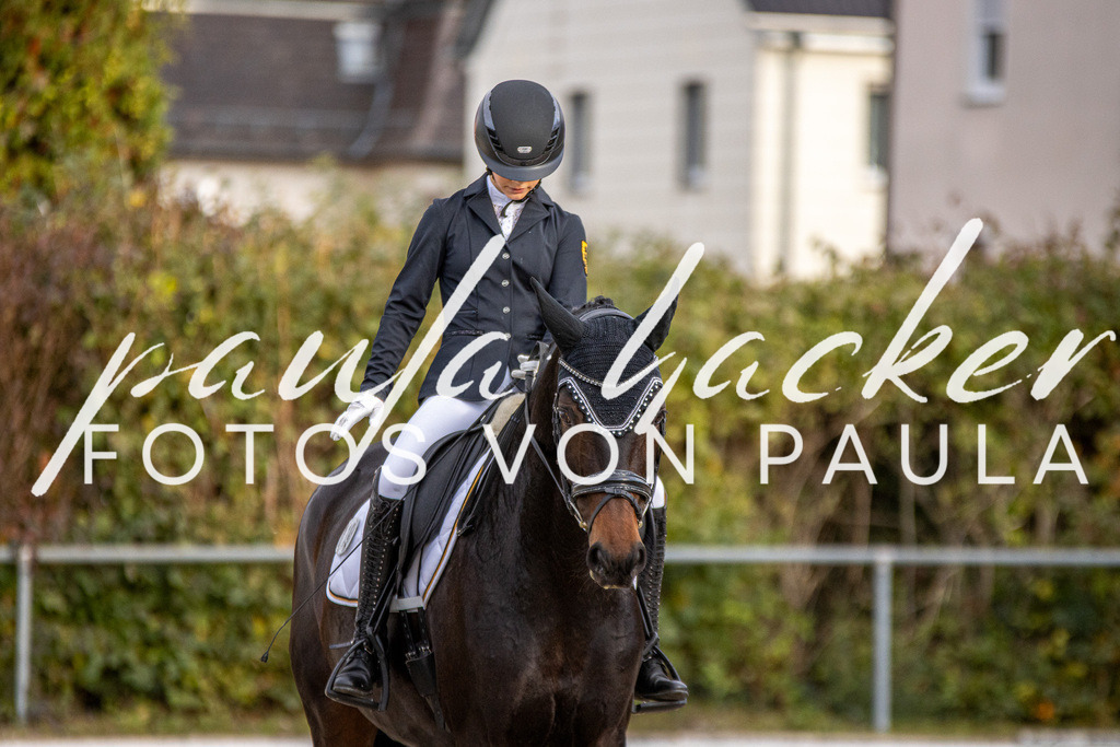 IMG_4613 | Erleben Sie dynamische Sport- und emotionale Tierfotografie in Süddeutschland mit Fotos von Paula. Spezialisiert auf Pferde- und Hundefotografie sowie Sportevents. Kontaktieren Sie mich für einzigartige und ausdrucksstarke Bilder Ihrer besonderen Momente.