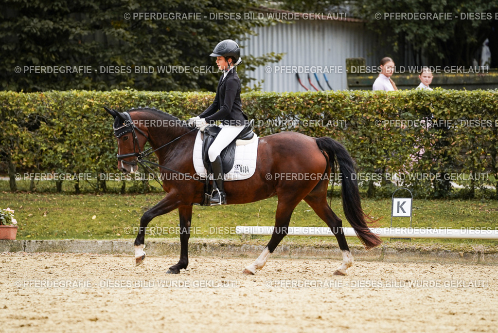 DSC09597 | Pferdegrafie