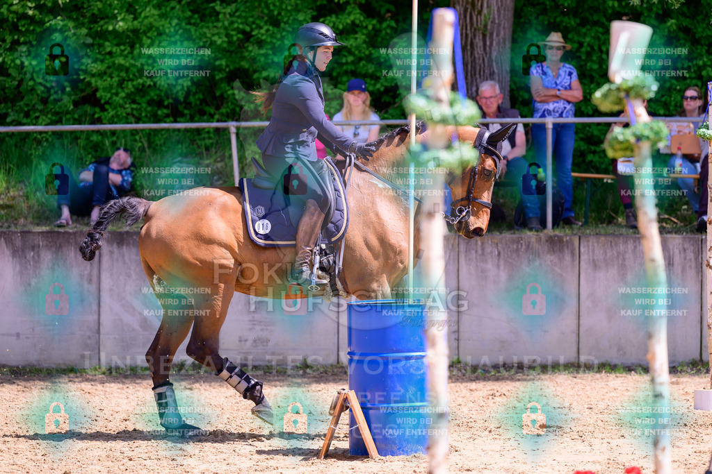 03052026-Giesenbach-05-Stiltrail-0140 | Fokus Hufschlag Fotografie - Realisiert mit Pictrs.com