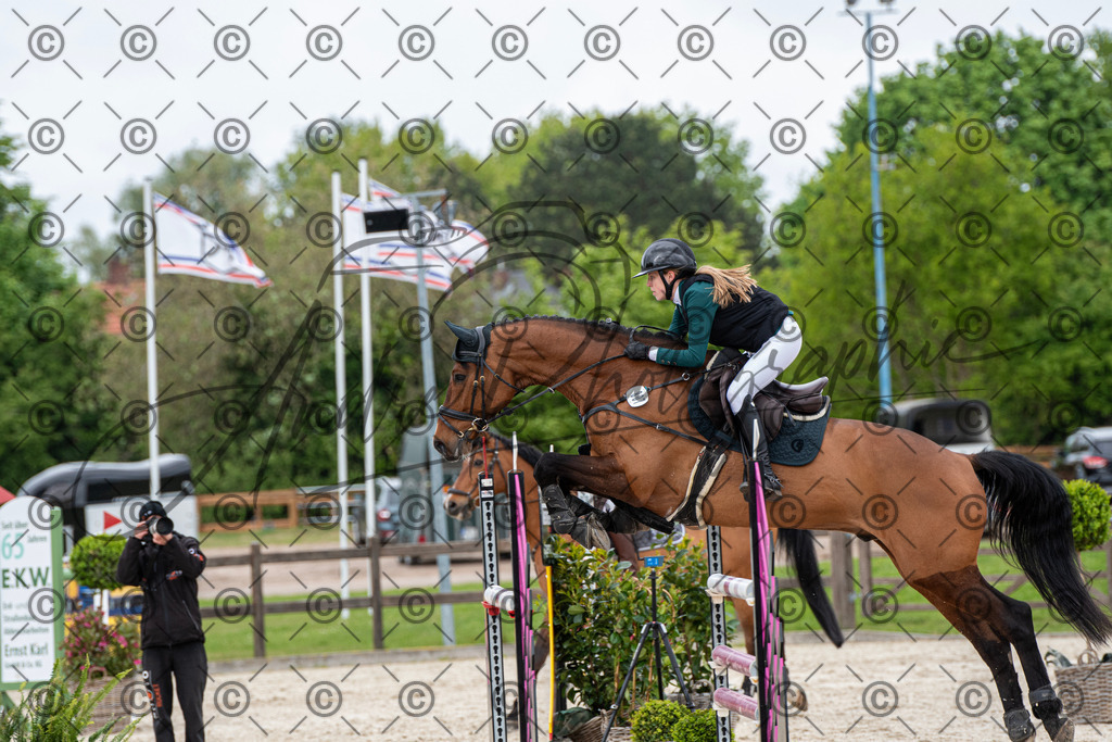 KPT_0013 | andre_photographic