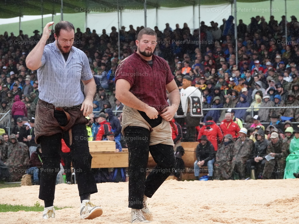 DSC07907 | Schwingen - Realisiert mit Pictrs.com