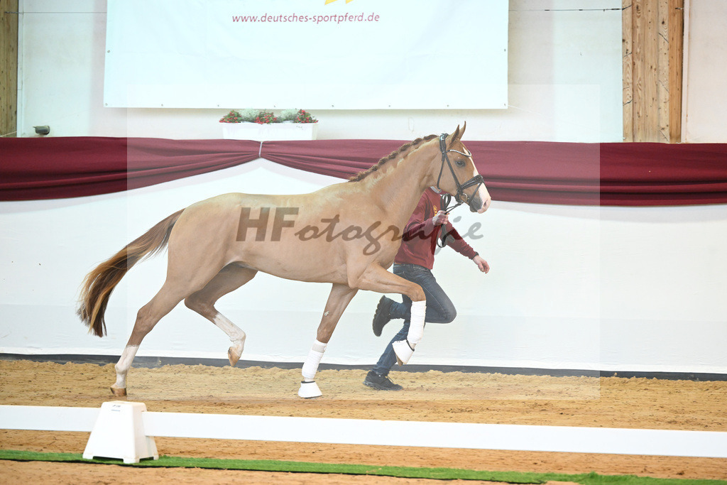 Kat-Nr. 33 v. Fuerst Samarant_Berger_66220365 | hf-fotografie - Realisiert mit Pictrs.com