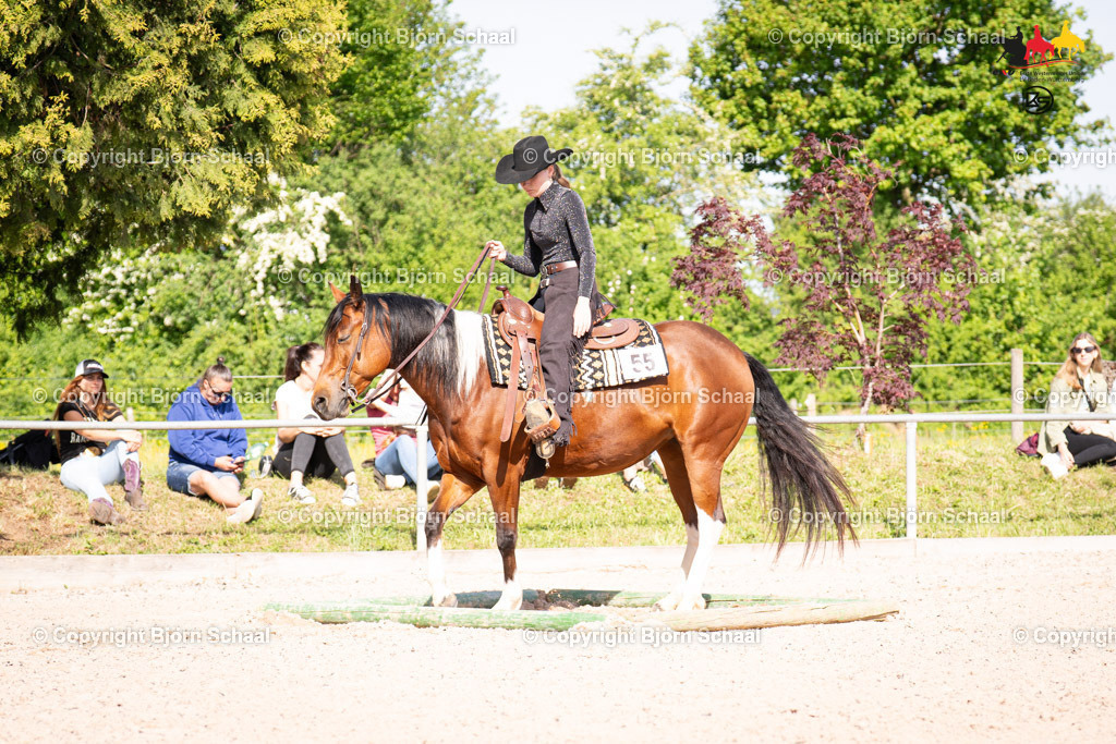 LMB08878 | BS-foto