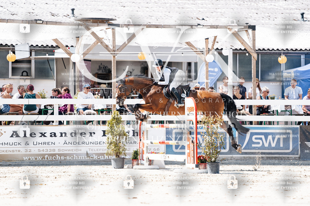 CK909624 | Turnierfotografie Pferdefotografie Trier Rheinland-Pfalz Pferdesport Reitsport Tierfotografie Sportfotografie Pferdevideo Pferdevideografie Equestrianvideography equestrianphotography  - Realisiert mit Pictrs.com