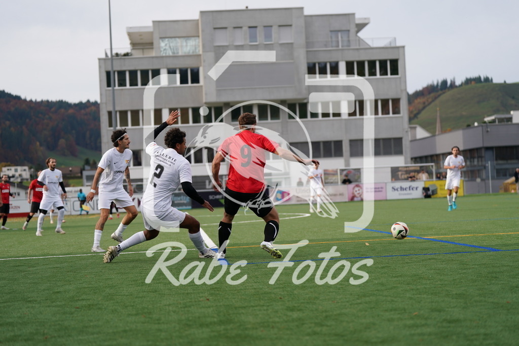 DSC09980 | rabefotos