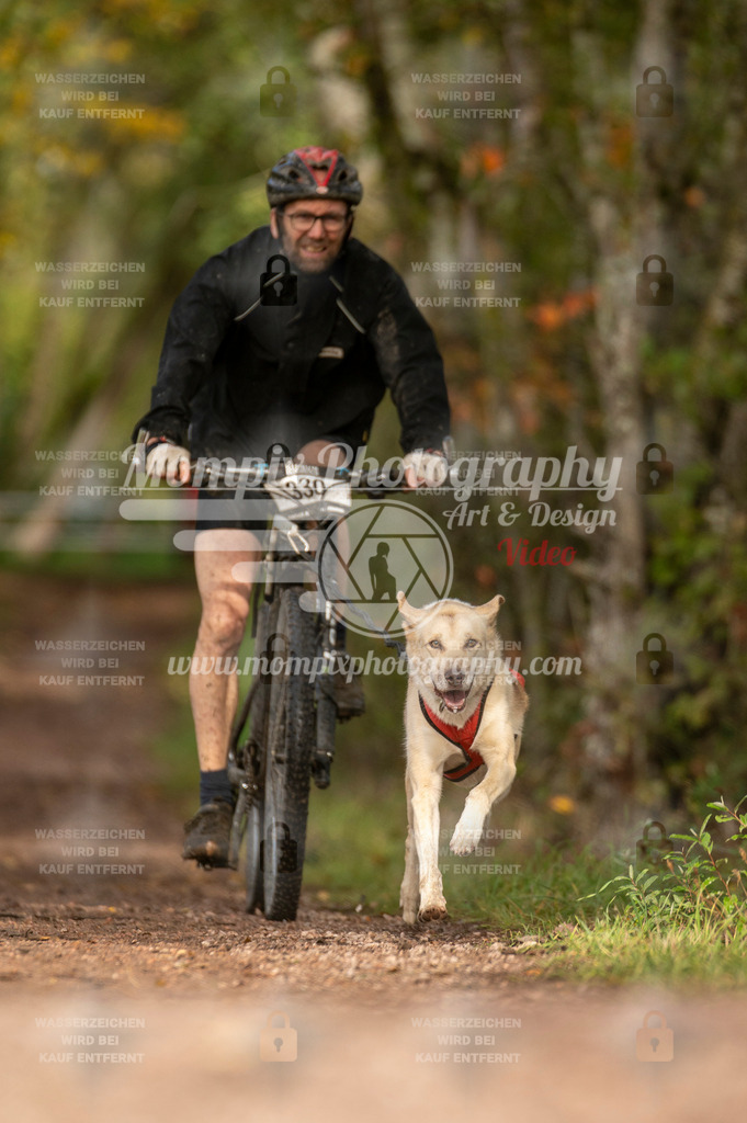 TSB_2023_E4_Bike-82 | PayLife