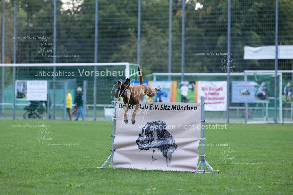 _16A4757 | Einzigartige Fotos von Hunden & Menschen –Actionfotos, Portraits, Vereinsaufnahmen & Paarshootings – authentisch, lebendig & mit Herz.