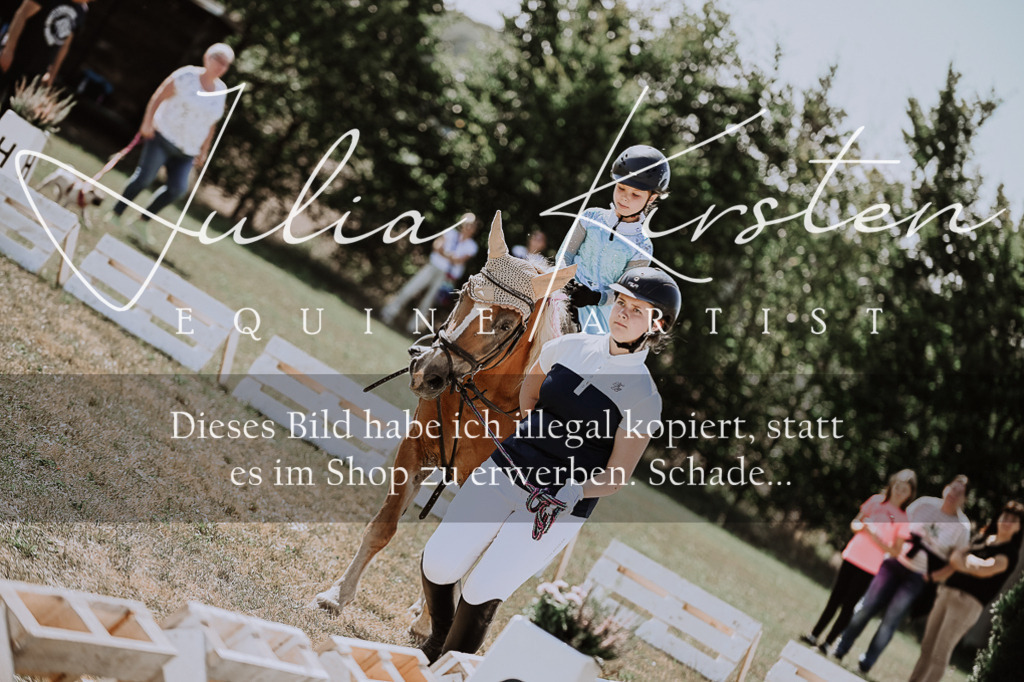 DSC_9029 | Pferde- und Turnierfotografie in Westsachsen. Pferdeportraits, Auftragszeichnungen und intuitive Kunst.