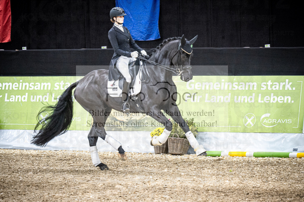 DOS_0112 | Entdecke hochwertige Reitturnierfotos von Foto Oger. Professionell, emotional und authentisch – jetzt Lieblingsmomente im Shop bestellen.Deutschlandweite Turnierfotografie. - Realisiert mit Pictrs.com