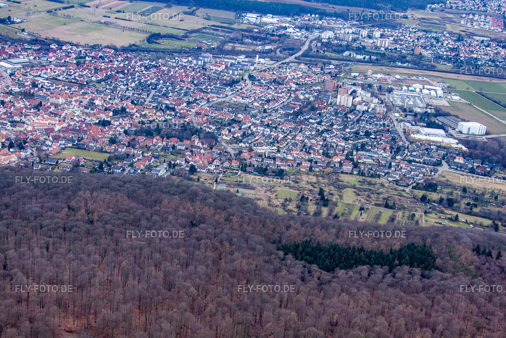 Ortsansicht von Osten | Luftbild: Ortsansicht von Osten in Nußloch im Bundesland Baden-Württemberg in Deutschland. Foto: IMG_24782.jpg vom 27.02.2010 durch Werner Riehm/FLY-FOTO.de - Realisiert mit Pictrs.com