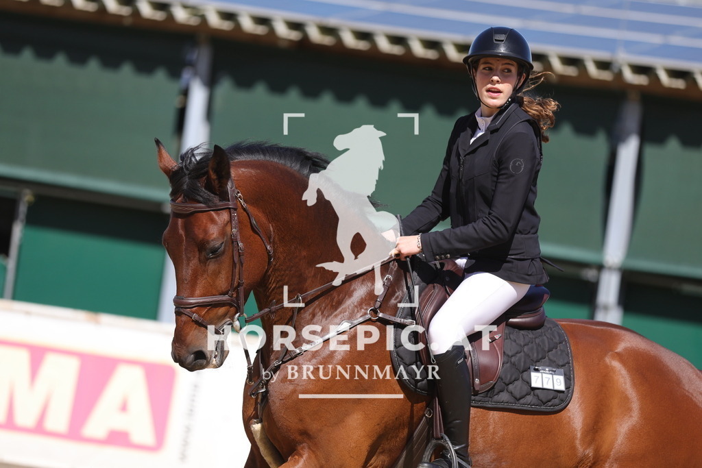 0P6A8232 | Willkommen bei Brunnmayr - Design & Fotografie – Ihrem Spezialisten für Reitturniere und Pferdeveranstaltungen in Oberösterreich, Salzburg und Bayern! Seit über 17 Jahren sind wir leidenschaftlich dabei.