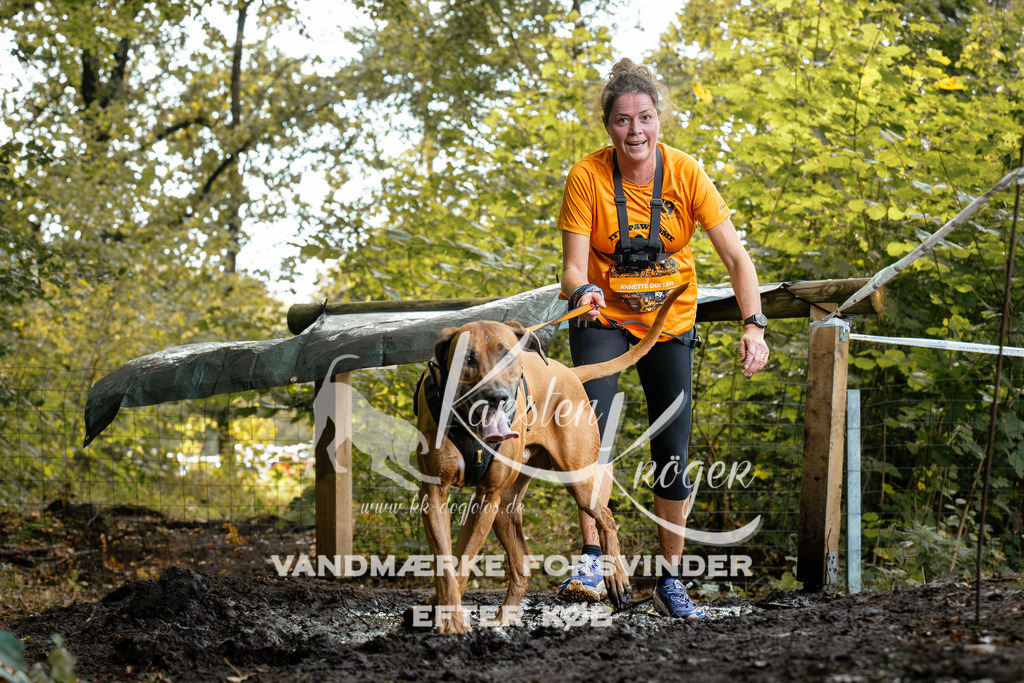 1415DZ6_1349-BearbeitetZ6 | kk-dogfotos