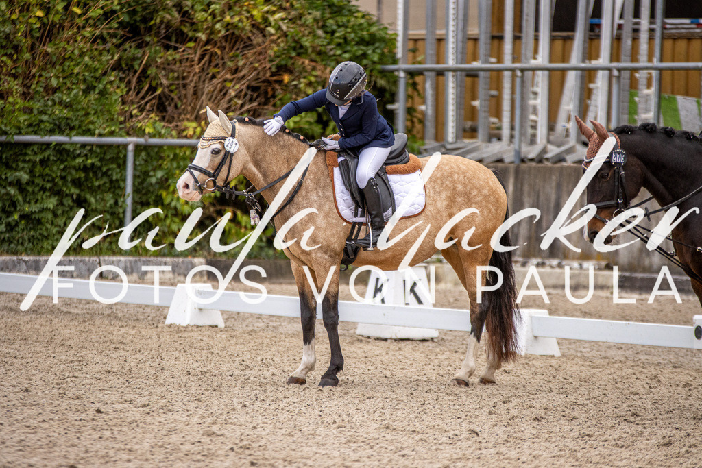 IMG_3595 | Erleben Sie dynamische Sport- und emotionale Tierfotografie in Süddeutschland mit Fotos von Paula. Spezialisiert auf Pferde- und Hundefotografie sowie Sportevents. Kontaktieren Sie mich für einzigartige und ausdrucksstarke Bilder Ihrer besonderen Momente. - Realisiert mit Pictrs.com
