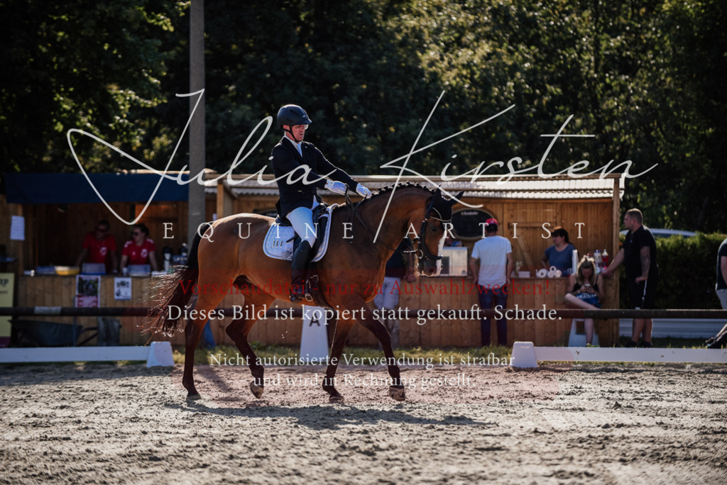 DSC_0591 | Pferde- und Turnierfotografie in Westsachsen. Pferdeportraits, Auftragszeichnungen und intuitive Kunst.