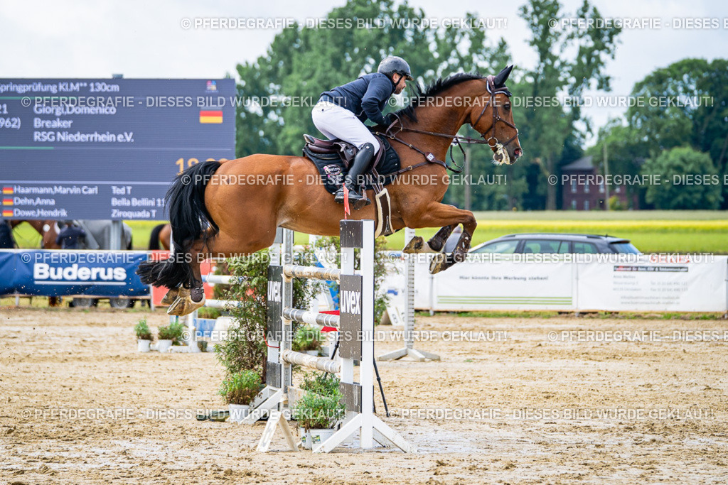 DSC03987 | Pferdegrafie