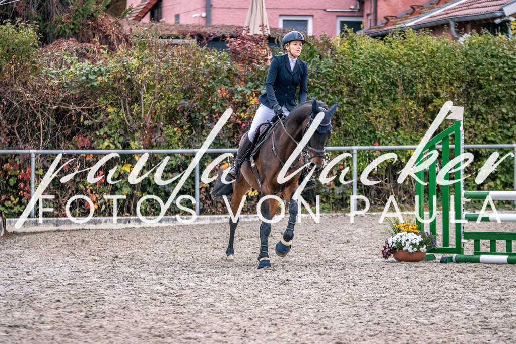 IMG_4903 | Erleben Sie dynamische Sport- und emotionale Tierfotografie in Süddeutschland mit Fotos von Paula. Spezialisiert auf Pferde- und Hundefotografie sowie Sportevents. Kontaktieren Sie mich für einzigartige und ausdrucksstarke Bilder Ihrer besonderen Momente.