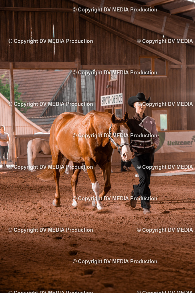 NE201486 | dv-media-shop - Realisiert mit Pictrs.com