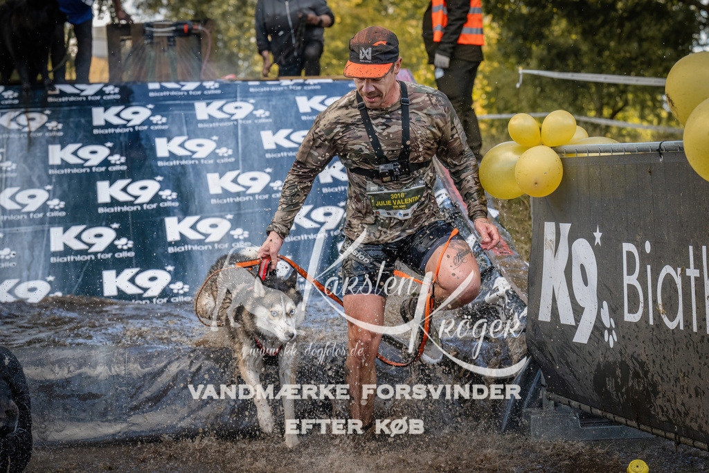 1552_ZZ90944 | kk-dogfotos