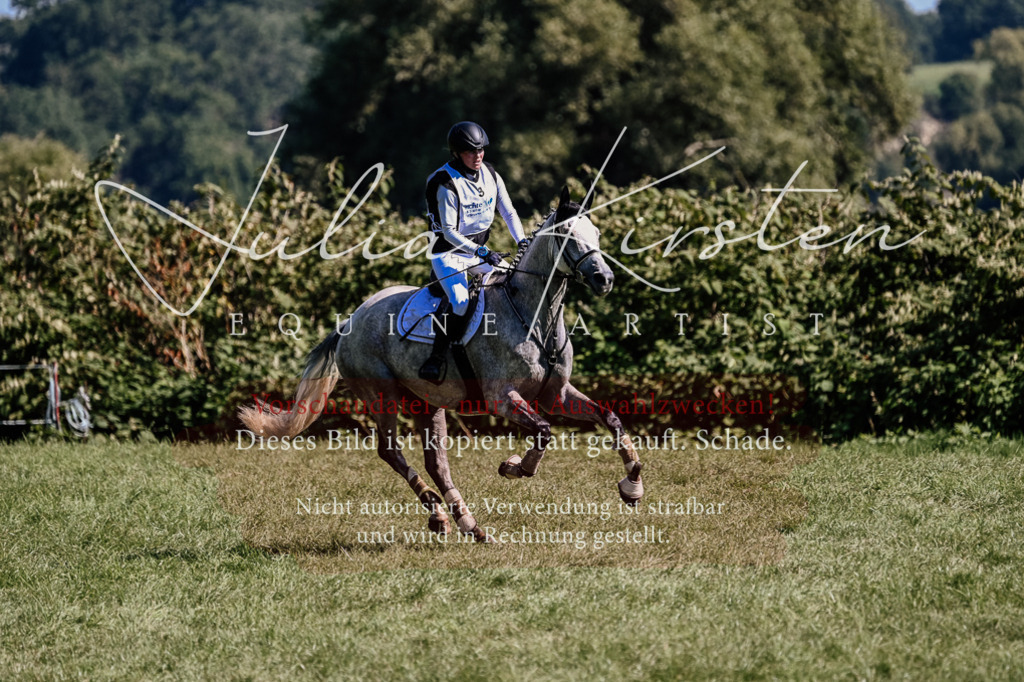 DSC_1416 | Pferde- und Turnierfotografie in Westsachsen. Pferdeportraits, Auftragszeichnungen und intuitive Kunst.