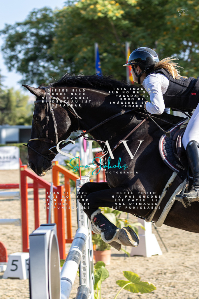 IMG_9489 | s-jay-photography - Realisiert mit Pictrs.com