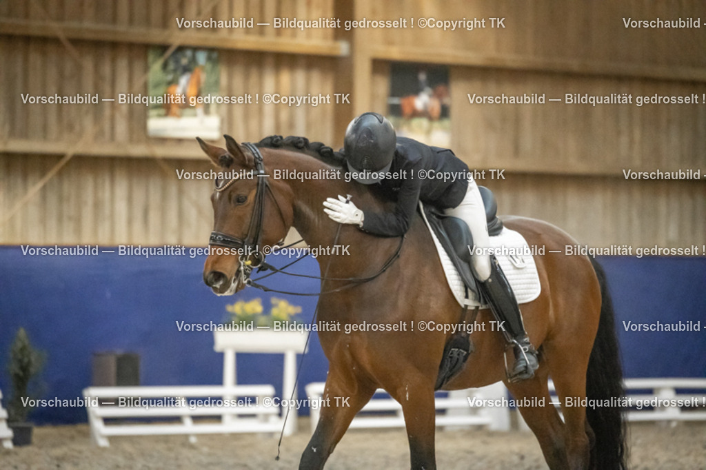 _D5A8056 | Emotionale Pferde- & People-Fotografie rund um Heidelberg, Leimen & Umgebung. Natürliche Fotos von Pferd, Mensch & Familie. Jetzt Termin sichern!