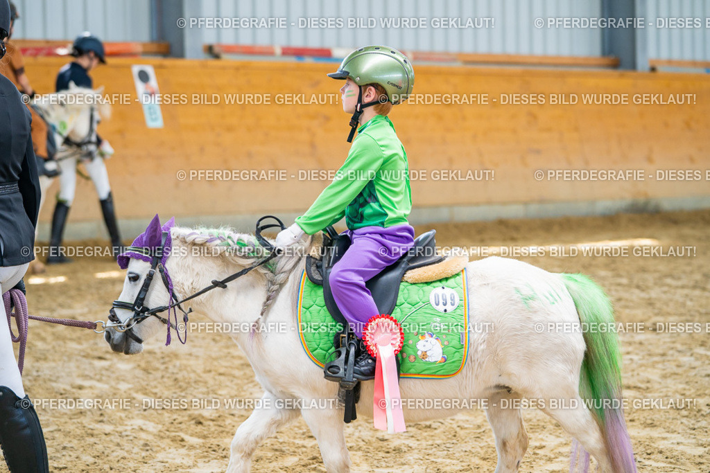 DSC00344 | Pferdegrafie