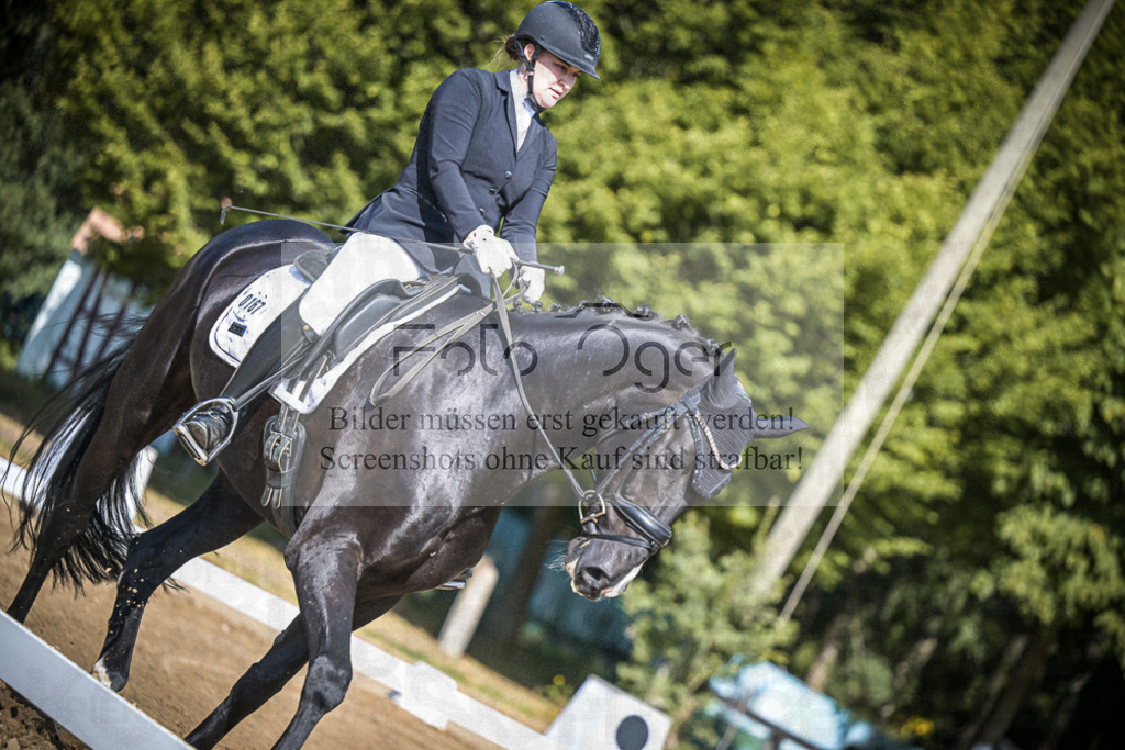 DOS_3550 | Entdecke hochwertige Reitturnierfotos von Foto Oger. Professionell, emotional und authentisch – jetzt Lieblingsmomente im Shop bestellen.Deutschlandweite Turnierfotografie. - Realisiert mit Pictrs.com