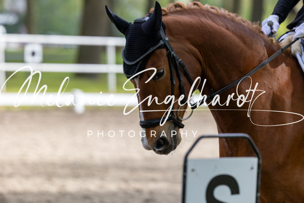 7I8A1056 | melanie-engelhardt-photography - Realisiert mit Pictrs.com