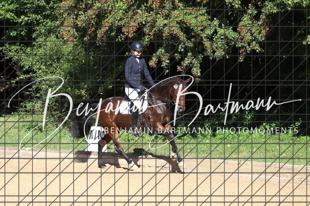 IMG_5322 | Benjamin Bartmann Photomoments