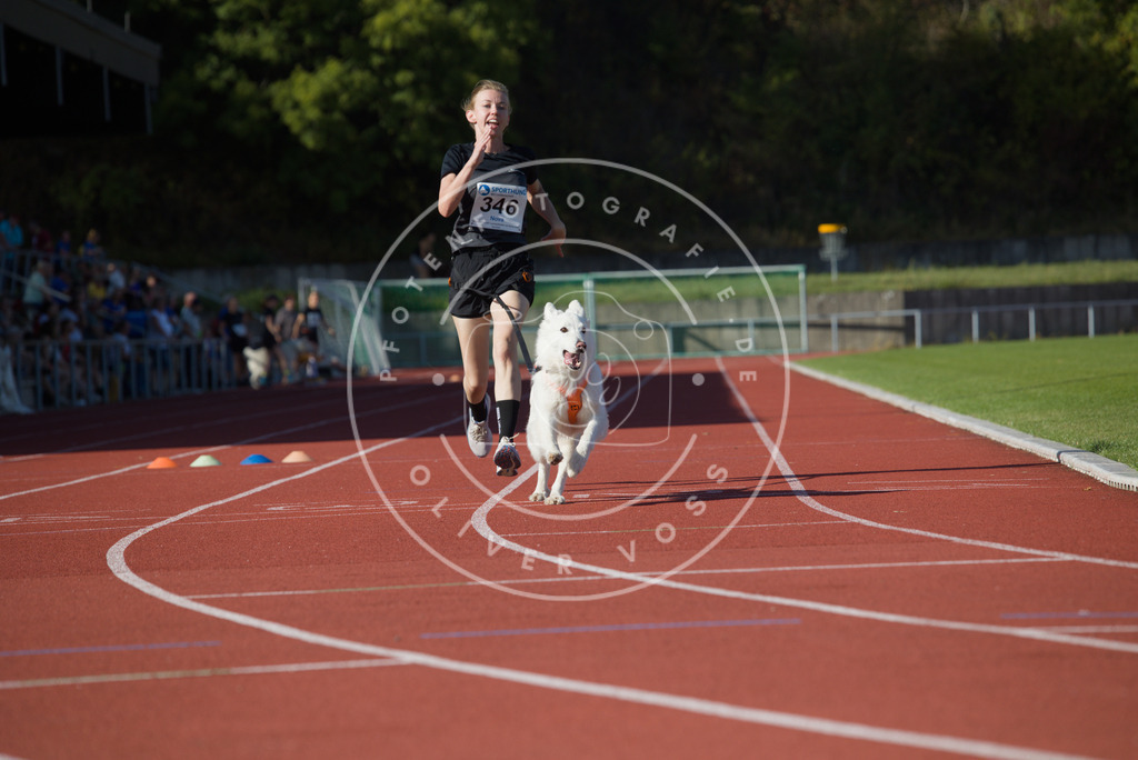 0L8A9356 | Hundefotografie, Tierfotograf, Pfotenfotografie, Fotoshooting Hund, Hunde Portrait, Hundesport, Hundeportraits, Heideshooting, Hunde, Sportfotograf, Hundefotograf, Turnierhundsport, THS,  - Realisiert mit Pictrs.com