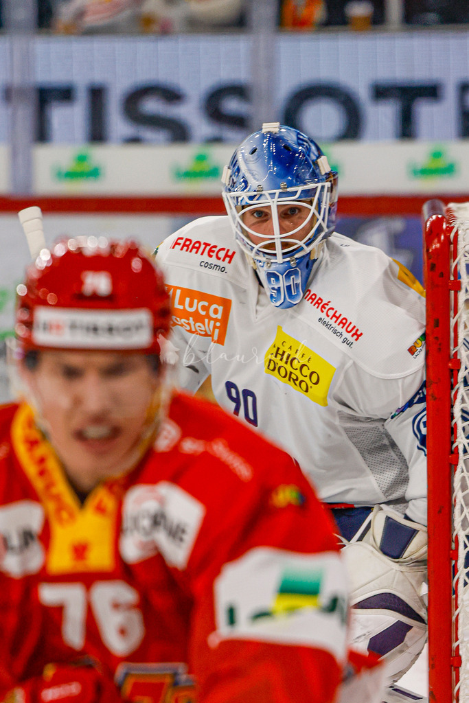 EHCB vs HCAP 20260115_wb-4142 | Sportbilder, Sportfotograf, Hochzeits- und Eventfotografin, Flugshows, Portraits und Tiershooting, Aviation, Downhill, Nationalleague, Swissleague, International
