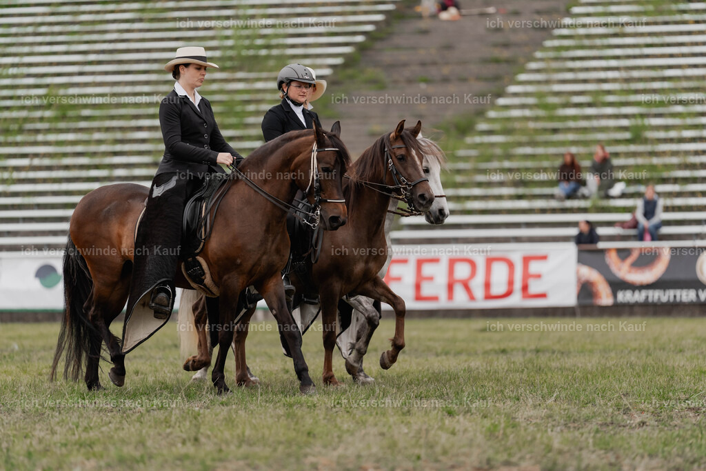 Showprogramm-475 | working equitationturnier fotograf videograf stoibphotography marixx film working equitation deutschland reitsport turnierfotografie eventfotografie equestrian events