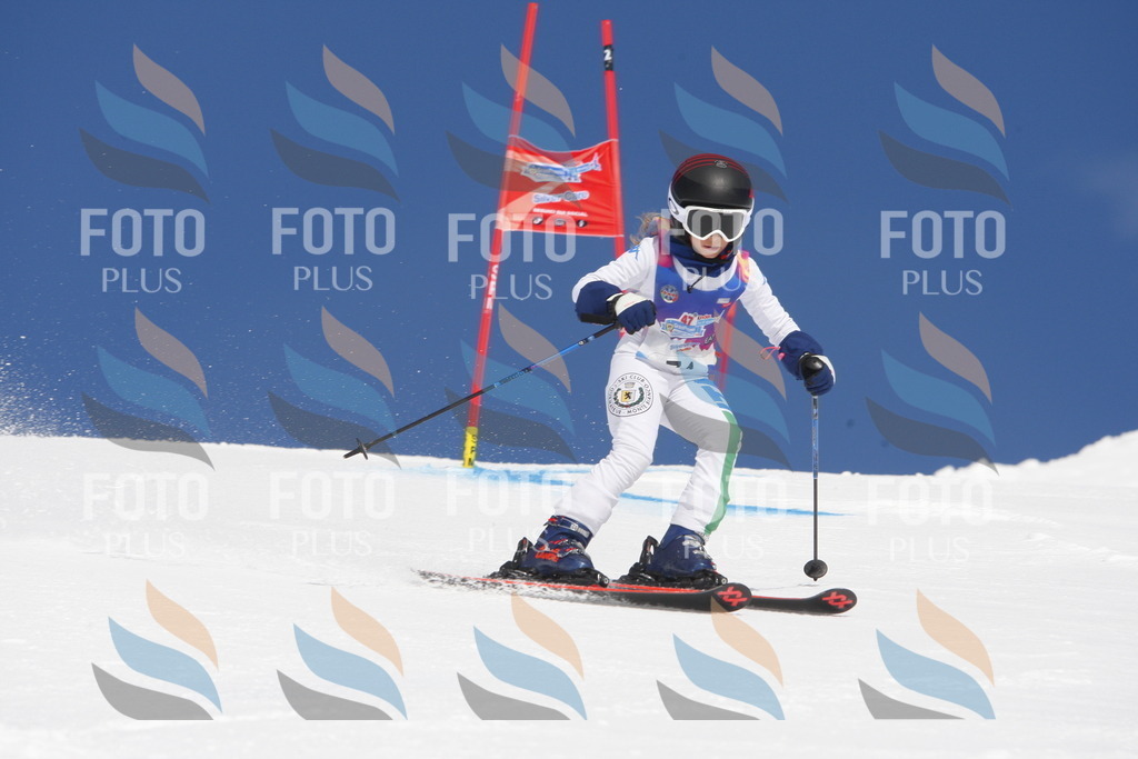 _W1G1089 | holidayphoto